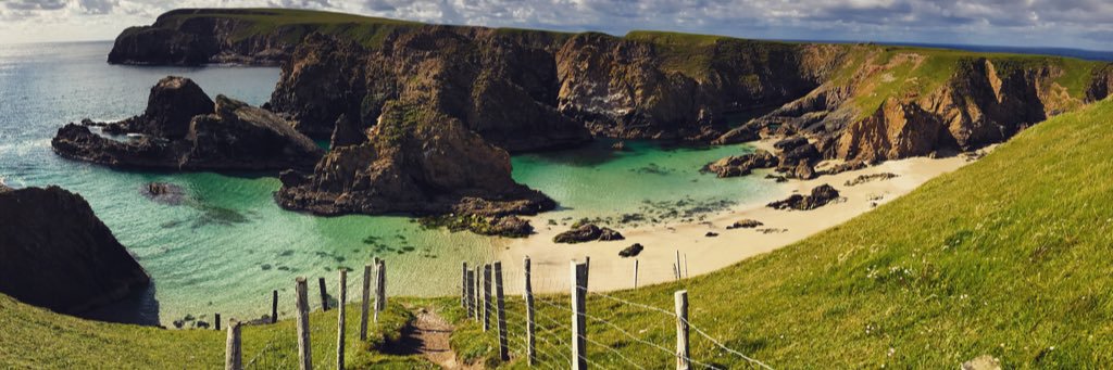 Corey Pearson banner