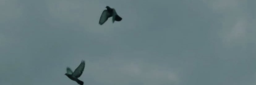 Matildamatim's profile banner image