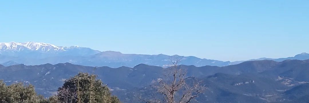 Montserratv's profile banner image