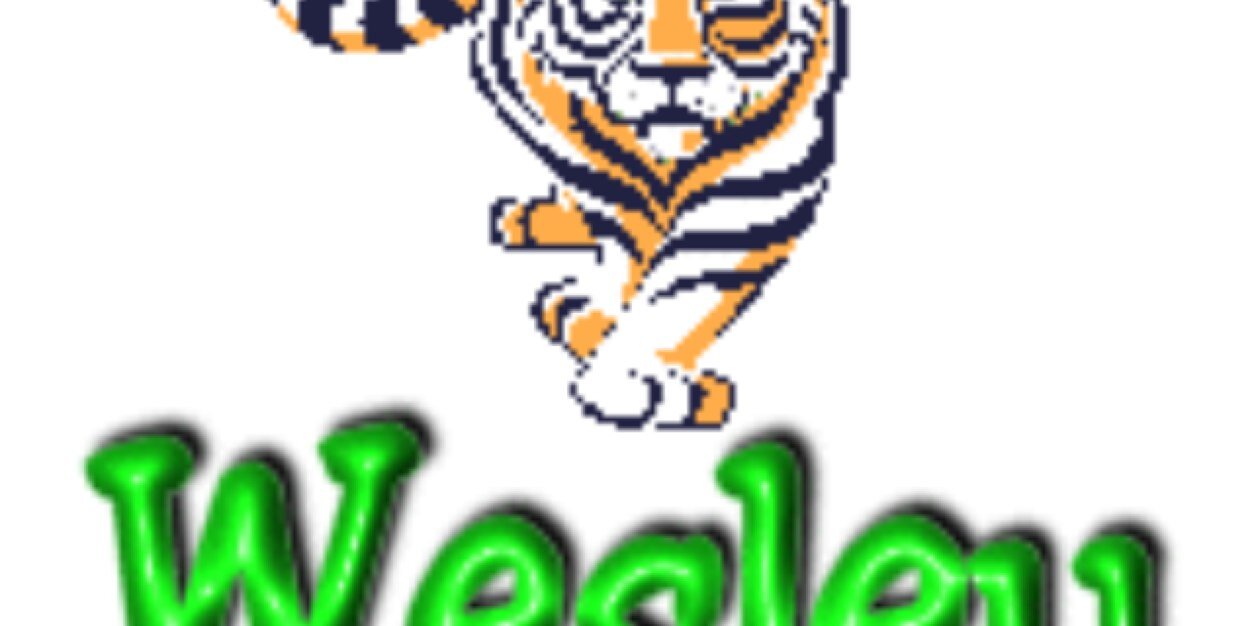 Bigwormallday's profile banner image