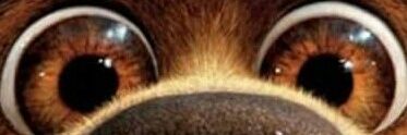 charruaplatense's profile banner image