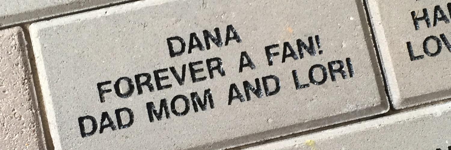Dana banner