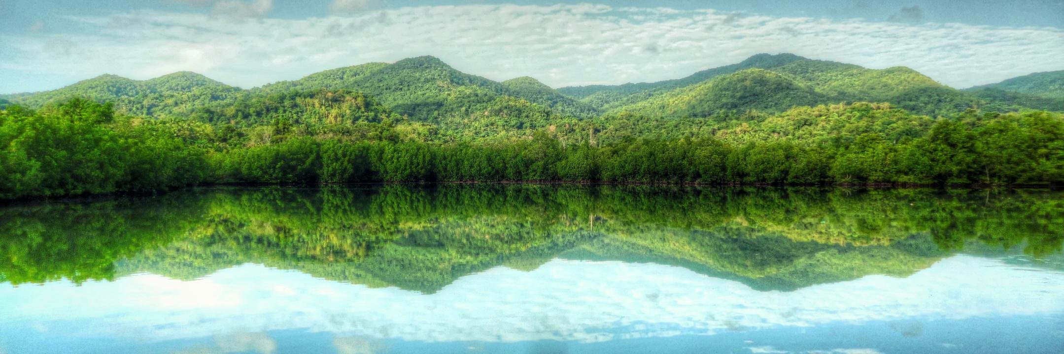 Rezaliah's profile banner image