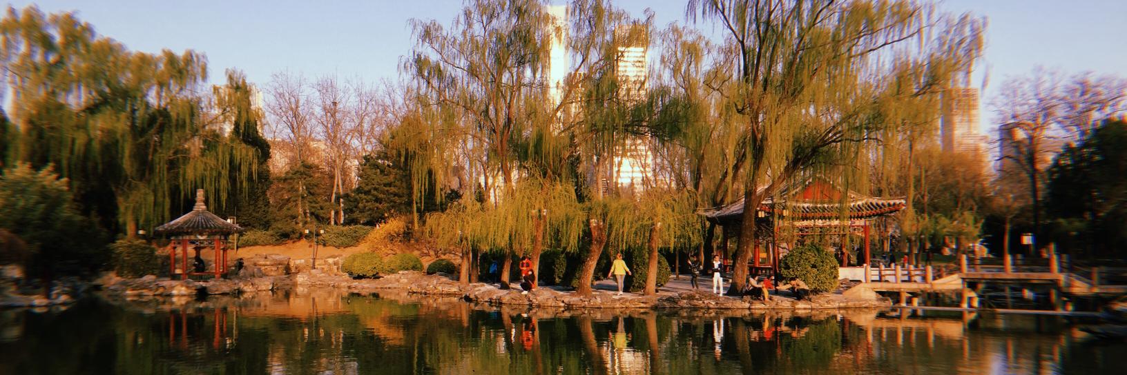 Anarkalee Perera banner