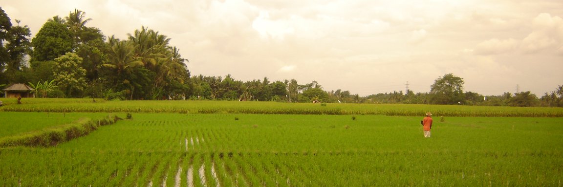 veraki_k's profile banner image