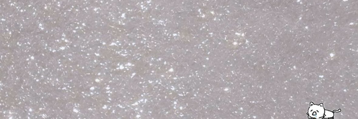 ﾎﾉｶ banner