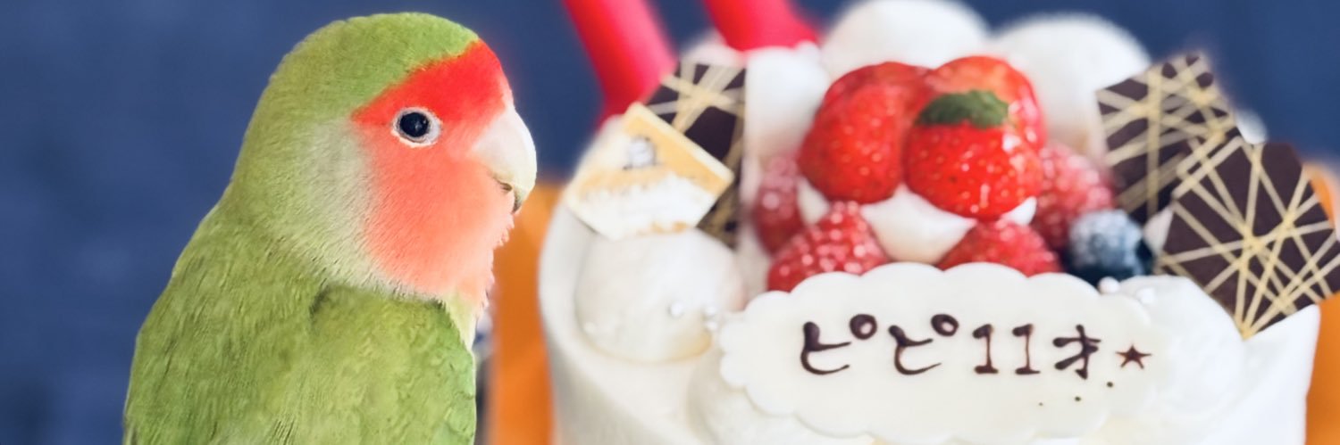 chiharru's profile banner image