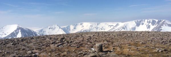 cairngormsCEO Profile Banner