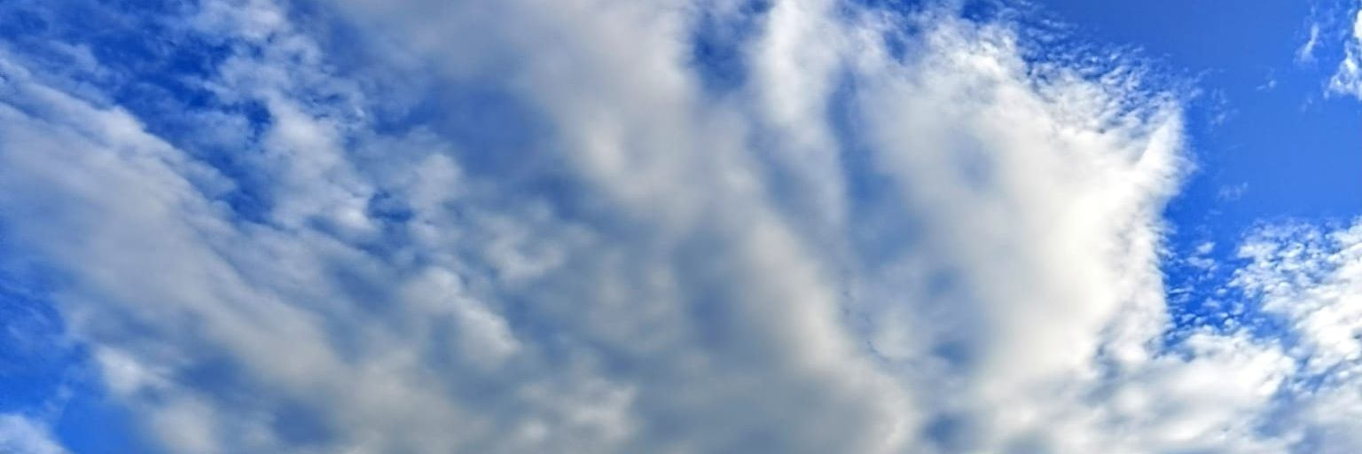 AlcXav's profile banner image