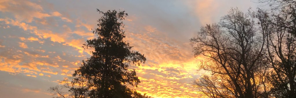 no longer here banner