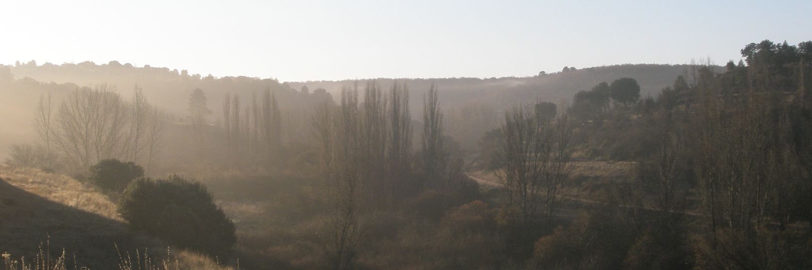Peralveche's profile banner image