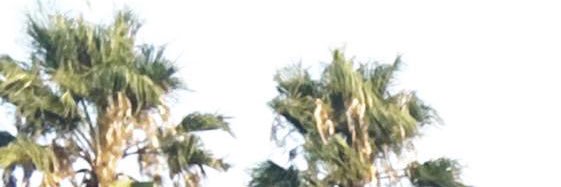 _iremakinn's profile banner image