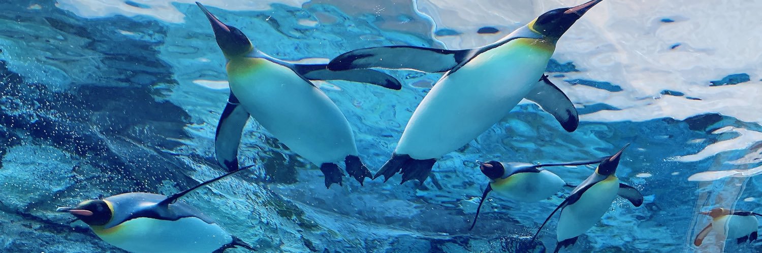 Miki..ta💜（ここみき） banner