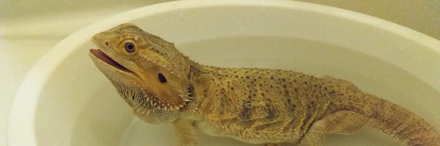 dinosagodz's profile banner image
