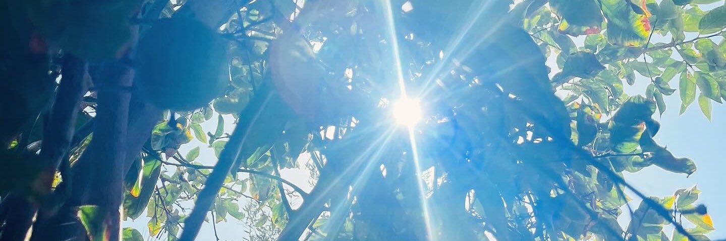 HalaHissy's profile banner image