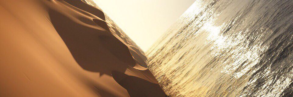 Alekseeva43's profile banner image