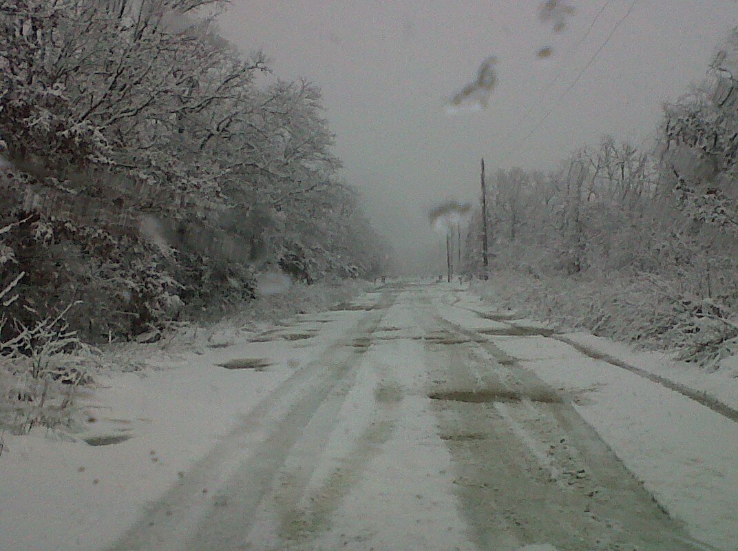 Amber Davisson banner