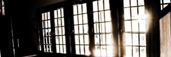 bericevans's profile banner image