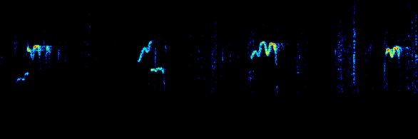 Rodent Ultrasonic Vocalizations banner