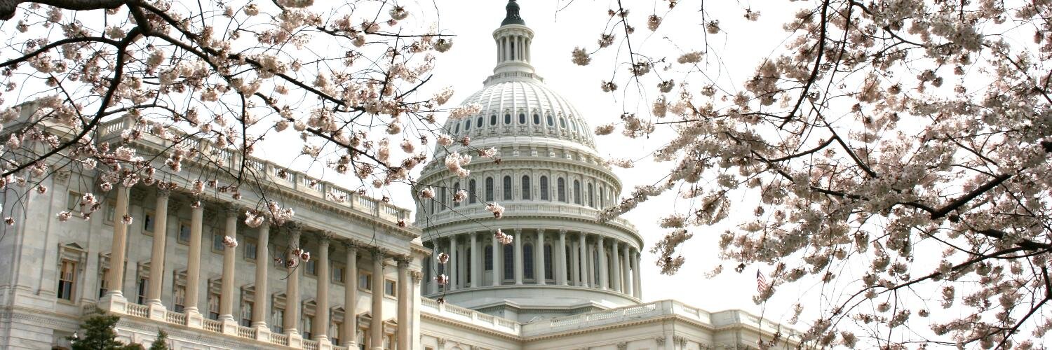 Daniella Foster banner