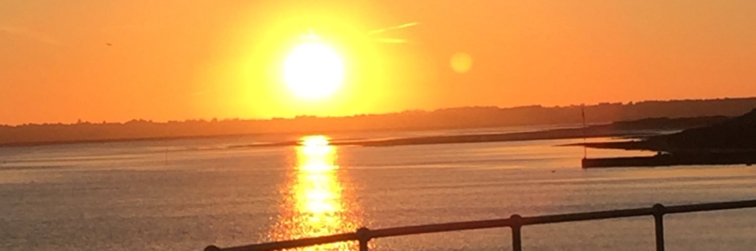 vinylarm's profile banner image