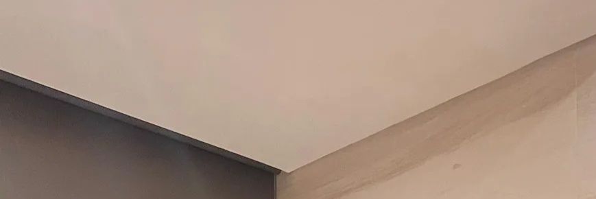 QinzaRose's profile banner image