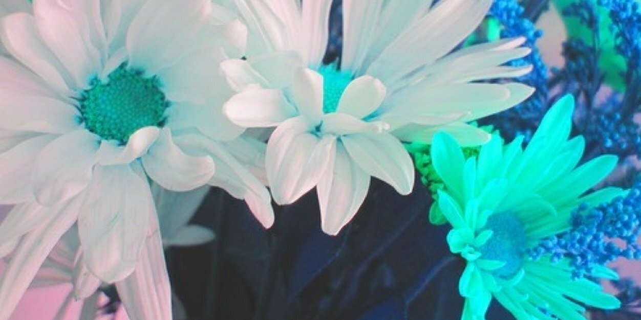 parupunte555's profile banner image
