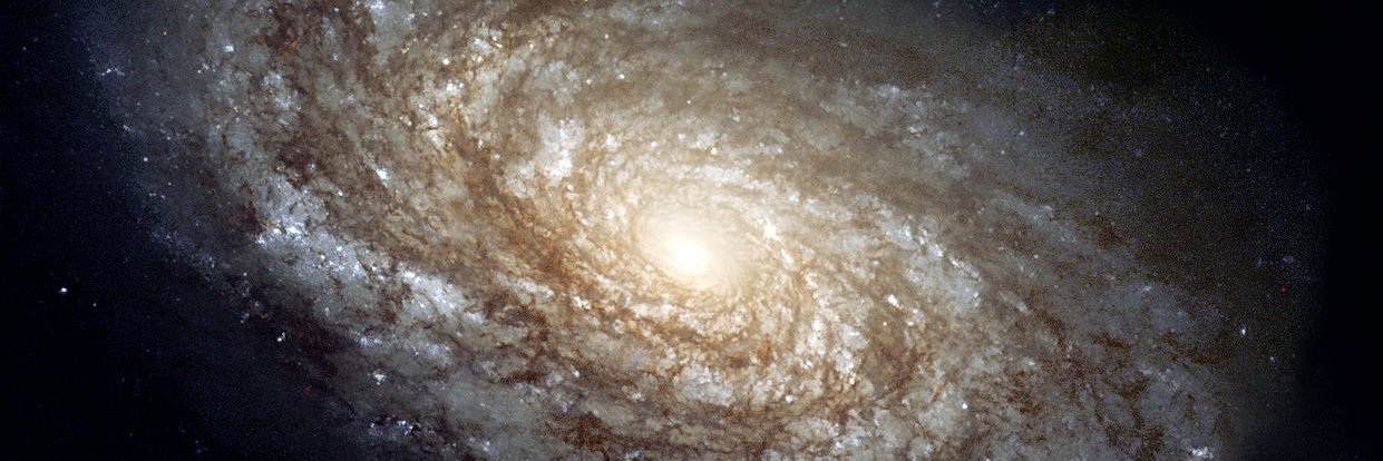 Johnny 🐍🐍 banner