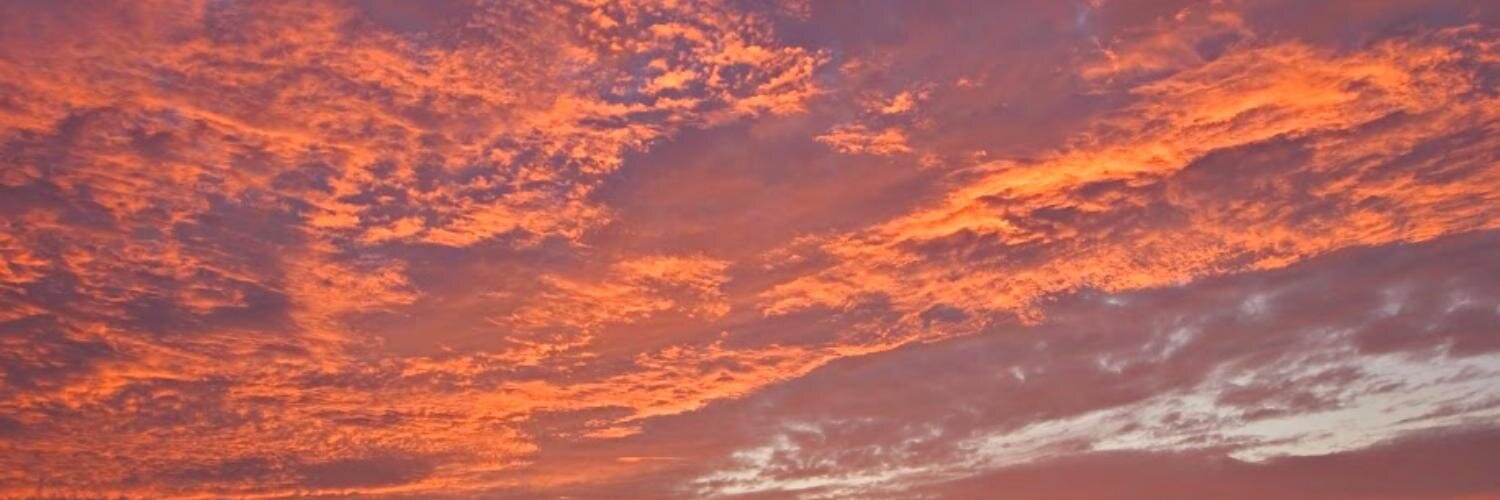 GoogleLocalRDU's profile banner image