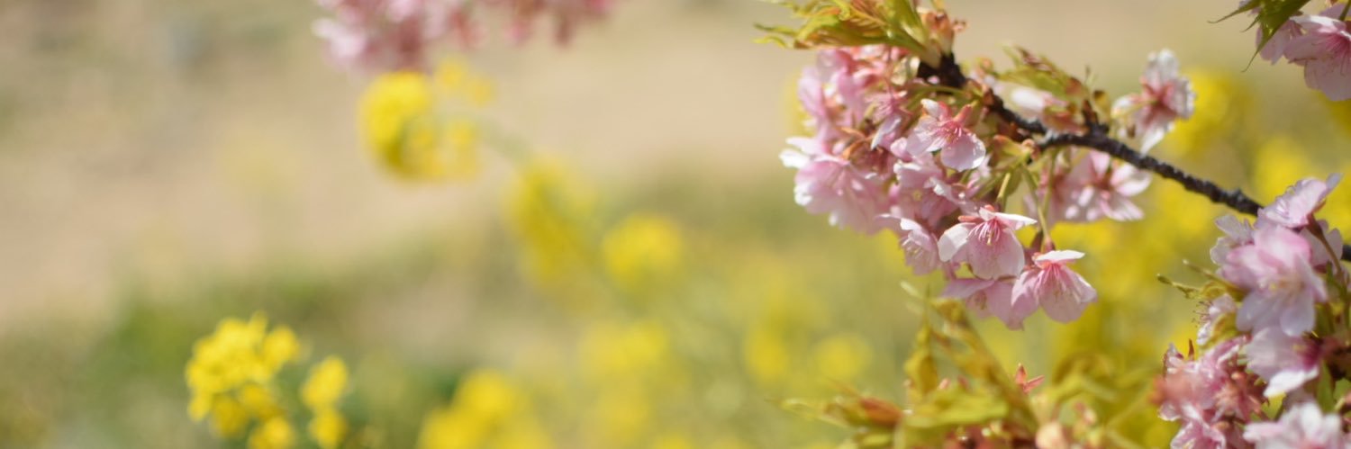 omutsulover's profile banner image