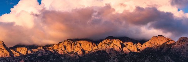 UNMUrology Profile Banner