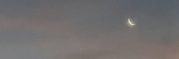 jmfyangsolace Profile Banner