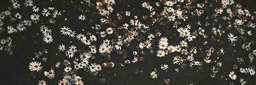 Tuubatr's profile banner image