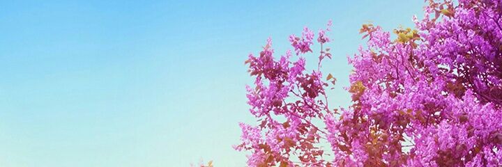 IlusionR's profile banner image