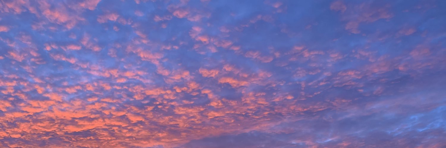 Daddy The Beat banner