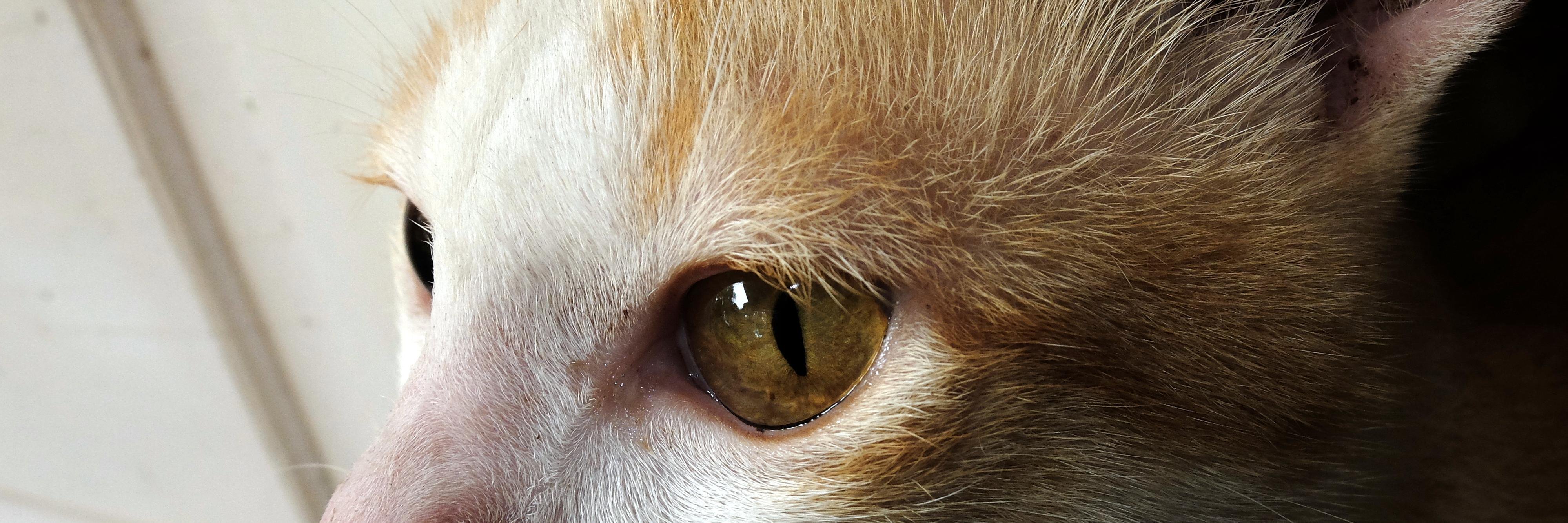riodegarp's profile banner image