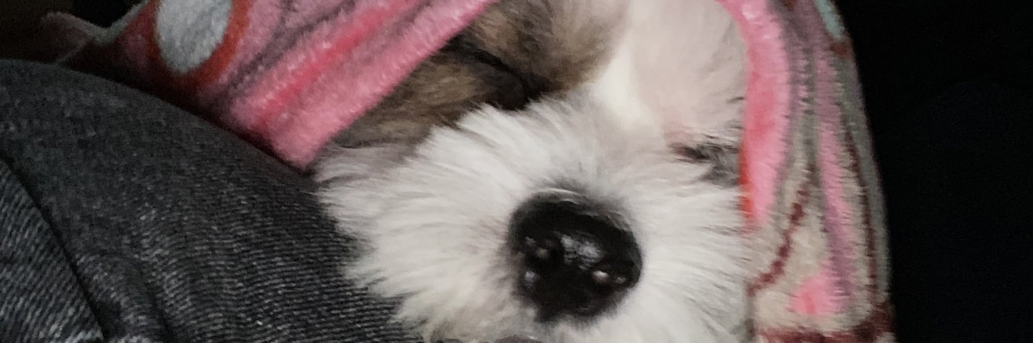 alonacess's profile banner image
