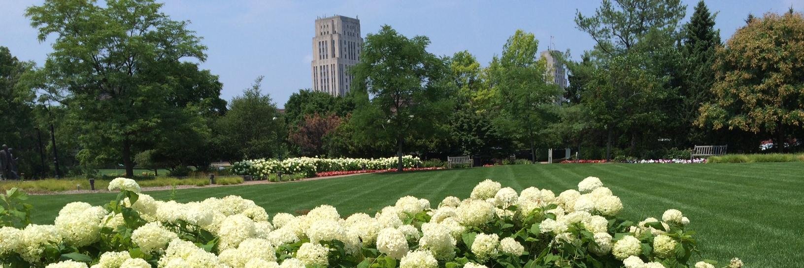 BattleCreek Enquirer banner