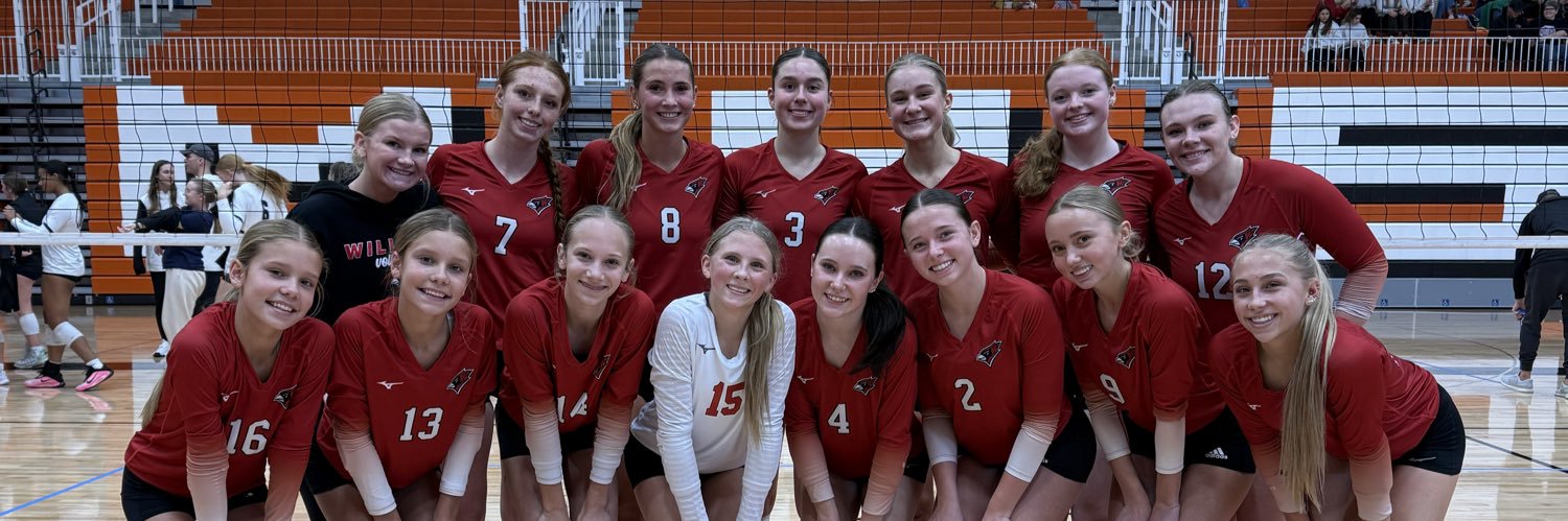 Willmar Volleyball banner