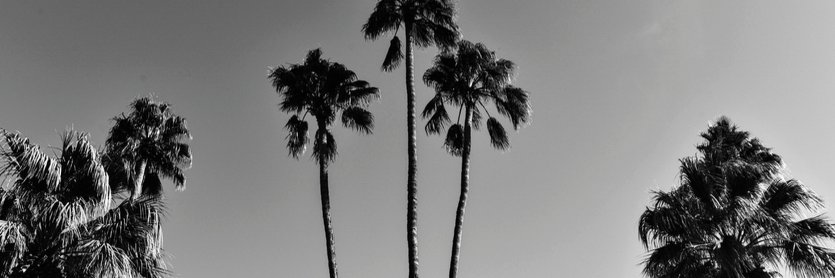 CadeStyleLounge's profile banner image