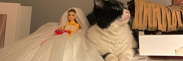 pakisimm Profile Banner