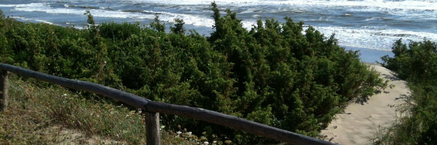redmonkeys82's profile banner image