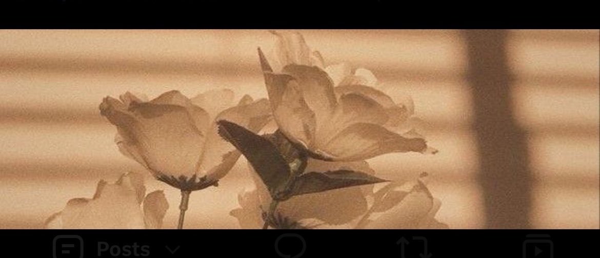 wall9528's profile banner image