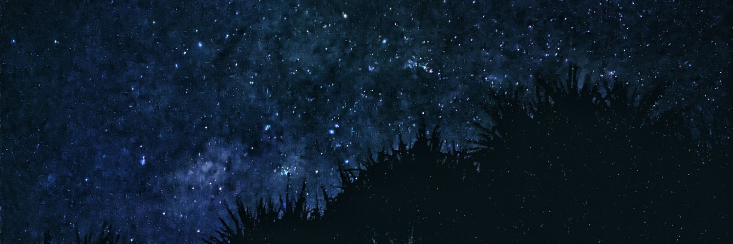mingL16HT's profile banner image