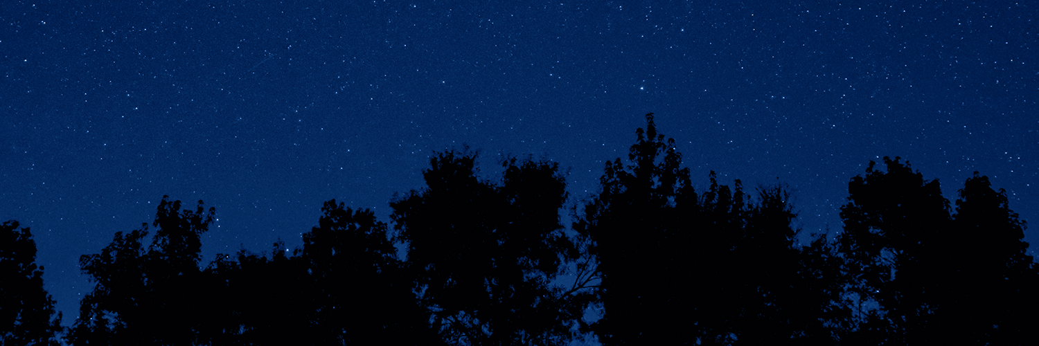 heartharps's profile banner image