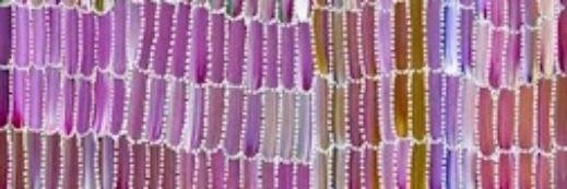 Montse Alberte banner