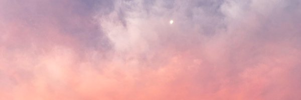 domiranda1 Profile Banner