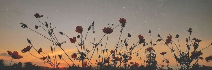 mrb3214's profile banner image