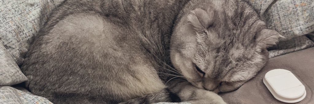 YourEggBrother's profile banner image