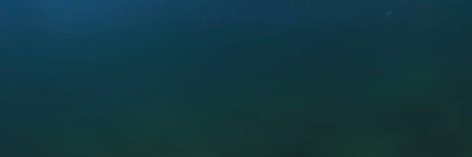 红胡子 banner